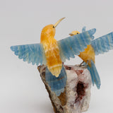 Danza de luz y fuego