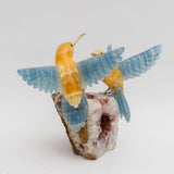 Danza de luz y fuego