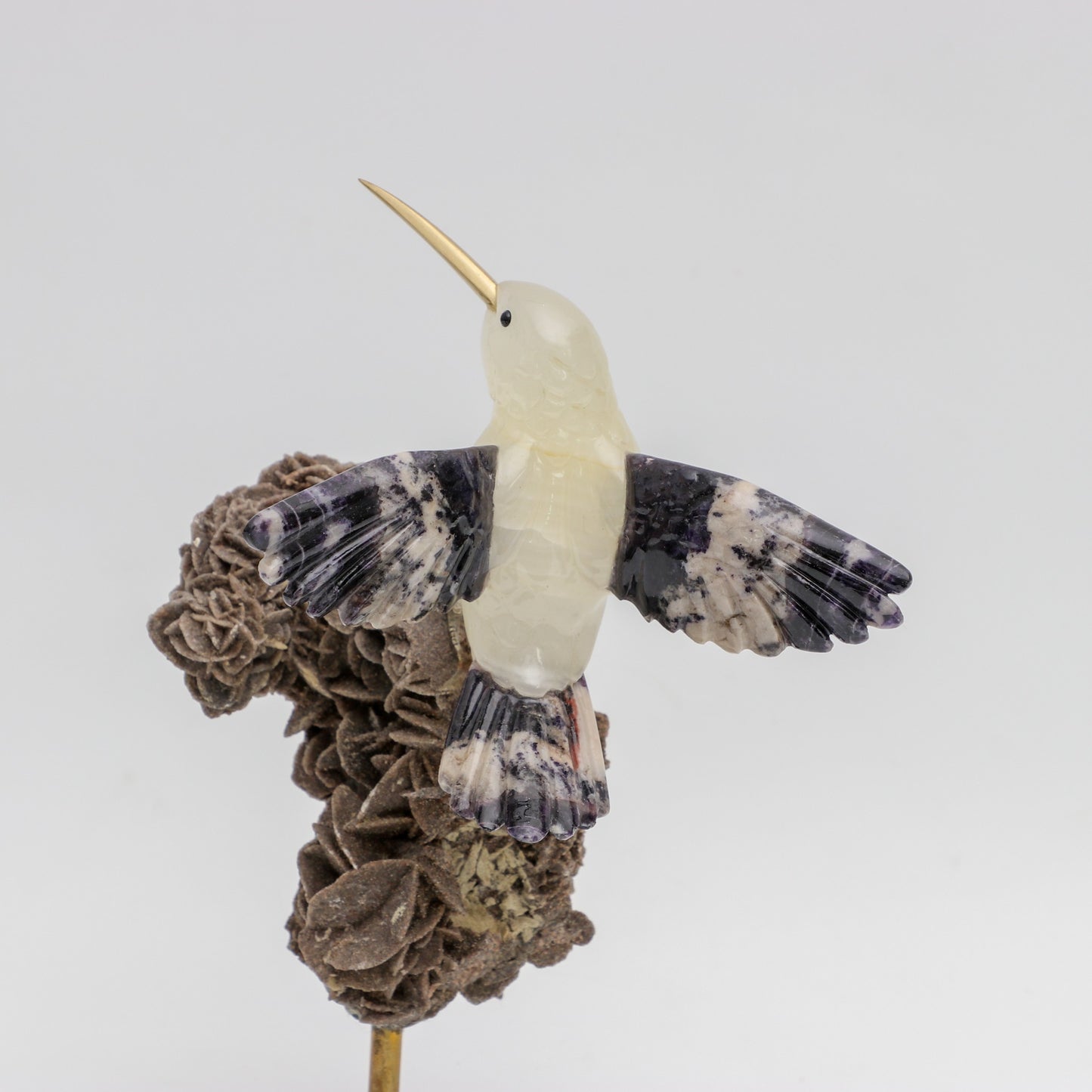 El guardián del desierto