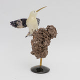 El guardián del desierto