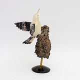 El guardián del desierto