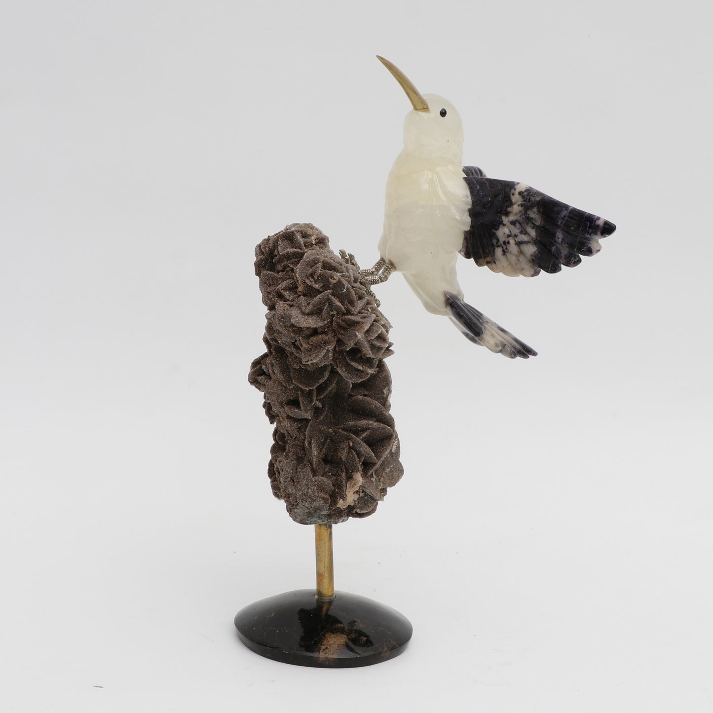 El guardián del desierto