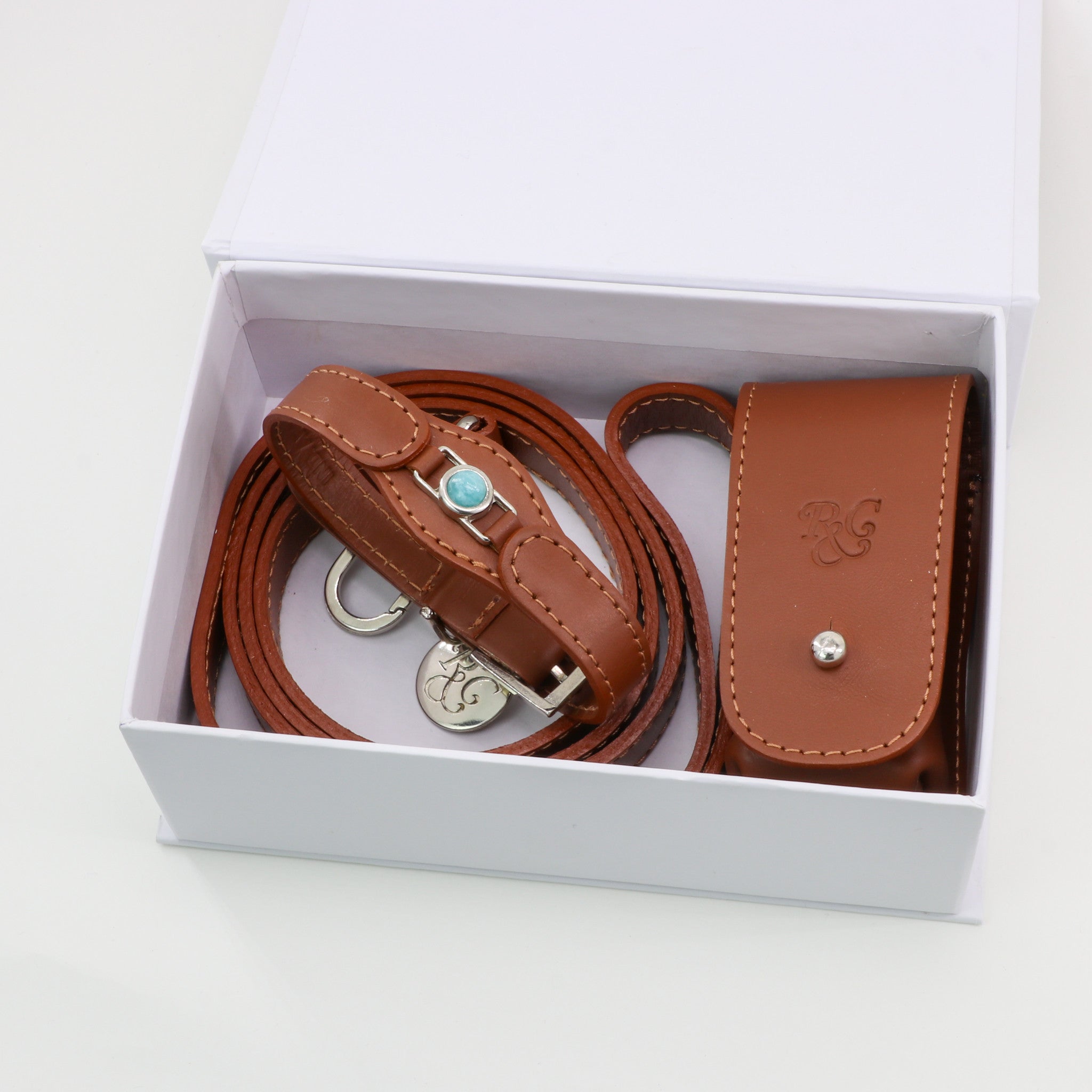 CONJUNTO PARA MASCOTAS DE COLLAR AMAZONITA, CORREA Y ESTUCHE PORTA BOLSAS – MEDIDA S