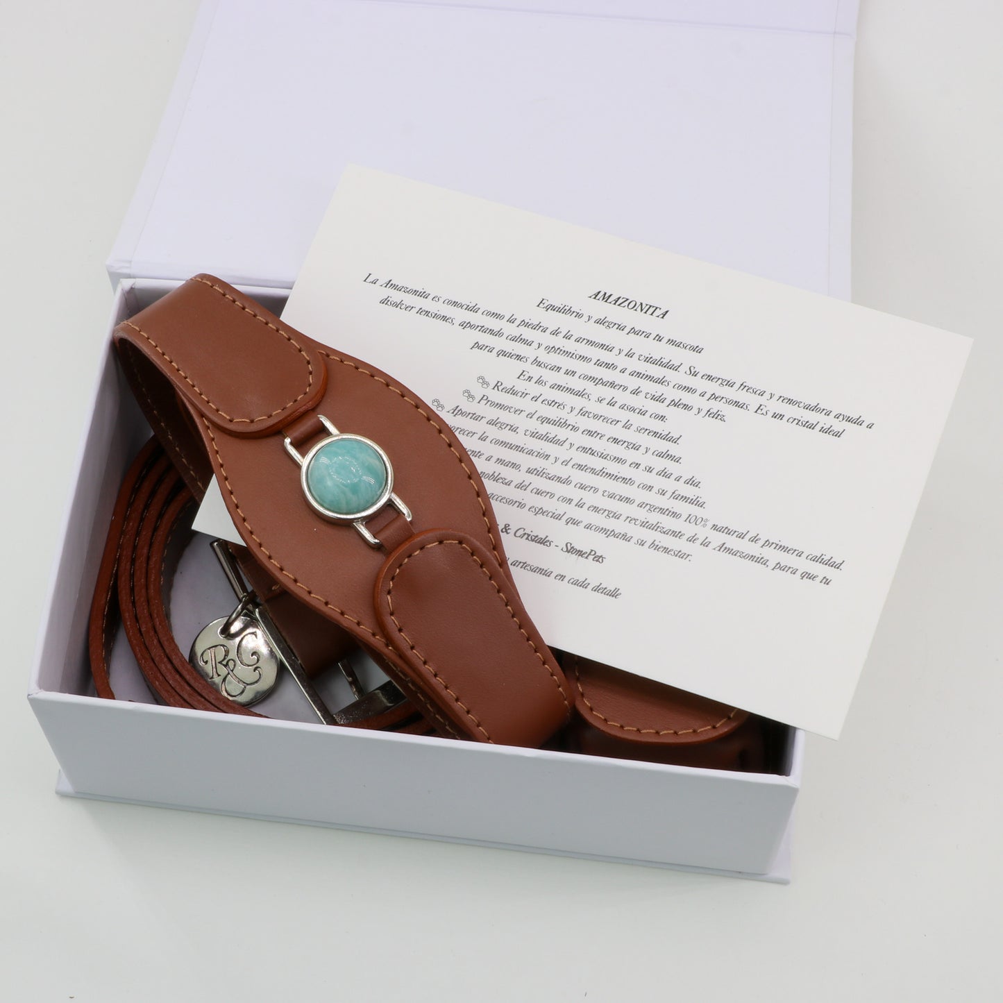 CONJUNTO PARA MASCOTAS DE COLLAR AMAZONITA, CORREA Y ESTUCHE PORTA BOLSAS – MEDIDA L