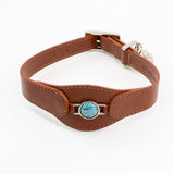 CONJUNTO PARA MASCOTAS DE COLLAR TURQUESA, CORREA Y ESTUCHE PORTA BOLSAS – MEDIDA L