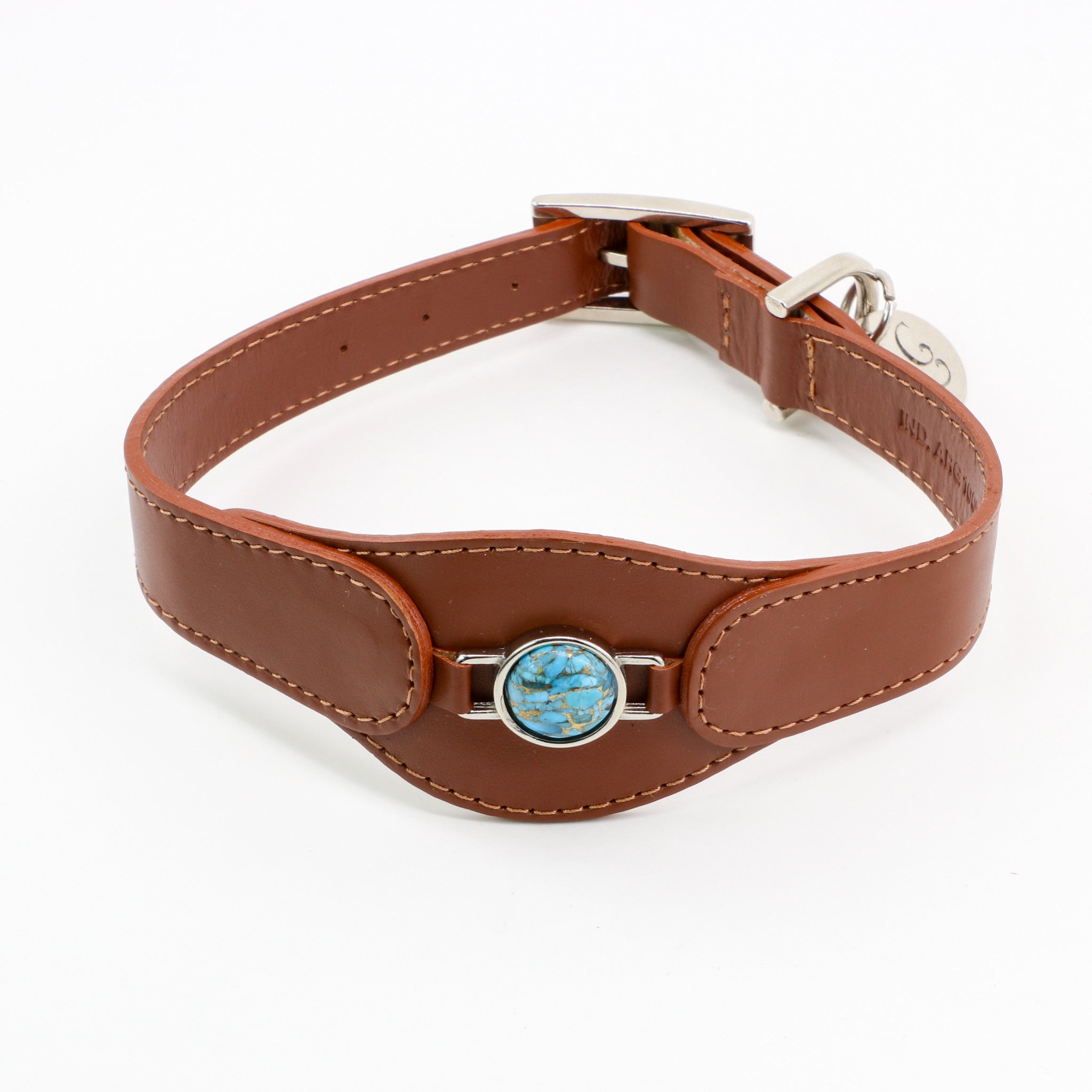 CONJUNTO PARA MASCOTAS DE COLLAR TURQUESA, CORREA Y ESTUCHE PORTA BOLSAS – MEDIDA L