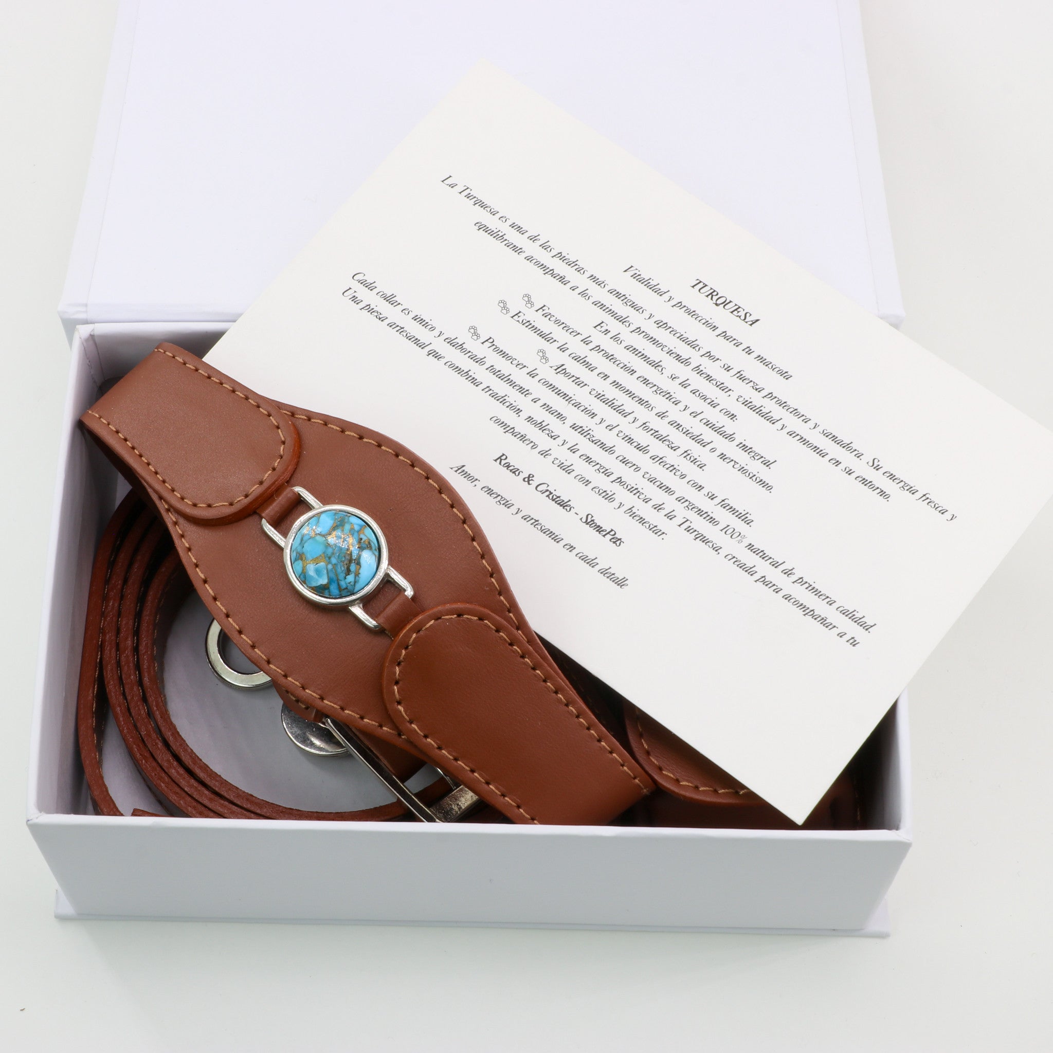 CONJUNTO PARA MASCOTAS DE COLLAR TURQUESA, CORREA Y ESTUCHE PORTA BOLSAS – MEDIDA L