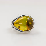 Anillo de Ámbar Báltico - Anillos