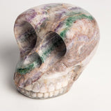 Calavera de simio - Talla en piedra