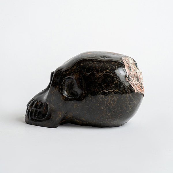 Calavera viva - Talla en piedra