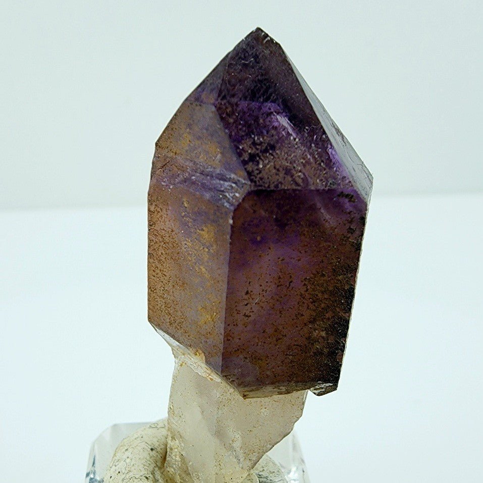 Cetro de Amatista con limonita - Minerales de colección