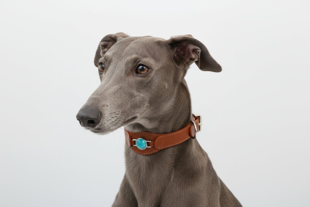 COLLAR CON AMAZONITA PARA MASCOTAS - MEDIDA M - Accesorios para mascotas