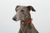 COLLAR CON AMAZONITA PARA MASCOTAS - MEDIDA M - Accesorios para mascotas