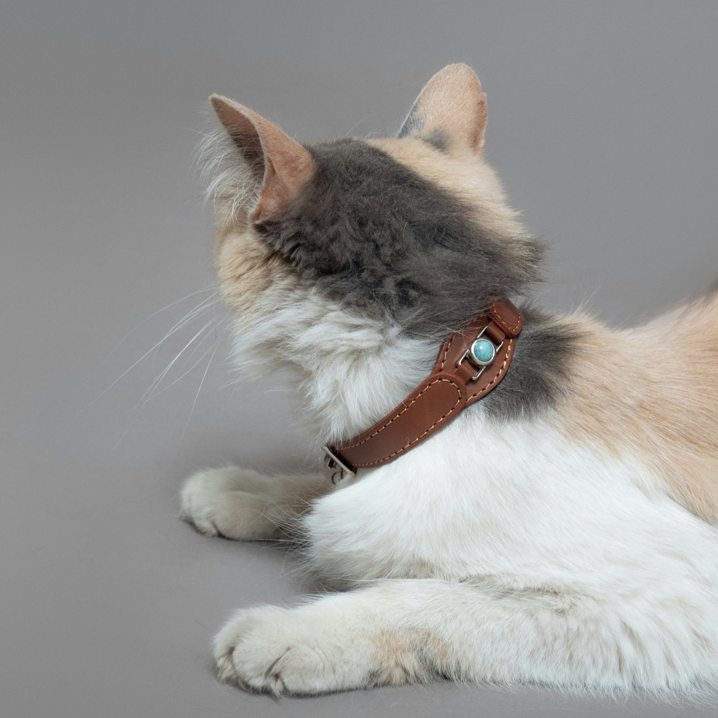COLLAR CON AMAZONITA PARA MASCOTAS - MEDIDA S - Accesorios para mascotas