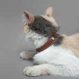 COLLAR CON AMAZONITA PARA MASCOTAS - MEDIDA S - Accesorios para mascotas