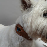 COLLAR CON LABRADORITA PARA MASCOTAS - MEDIDA M - Accesorios para mascotas