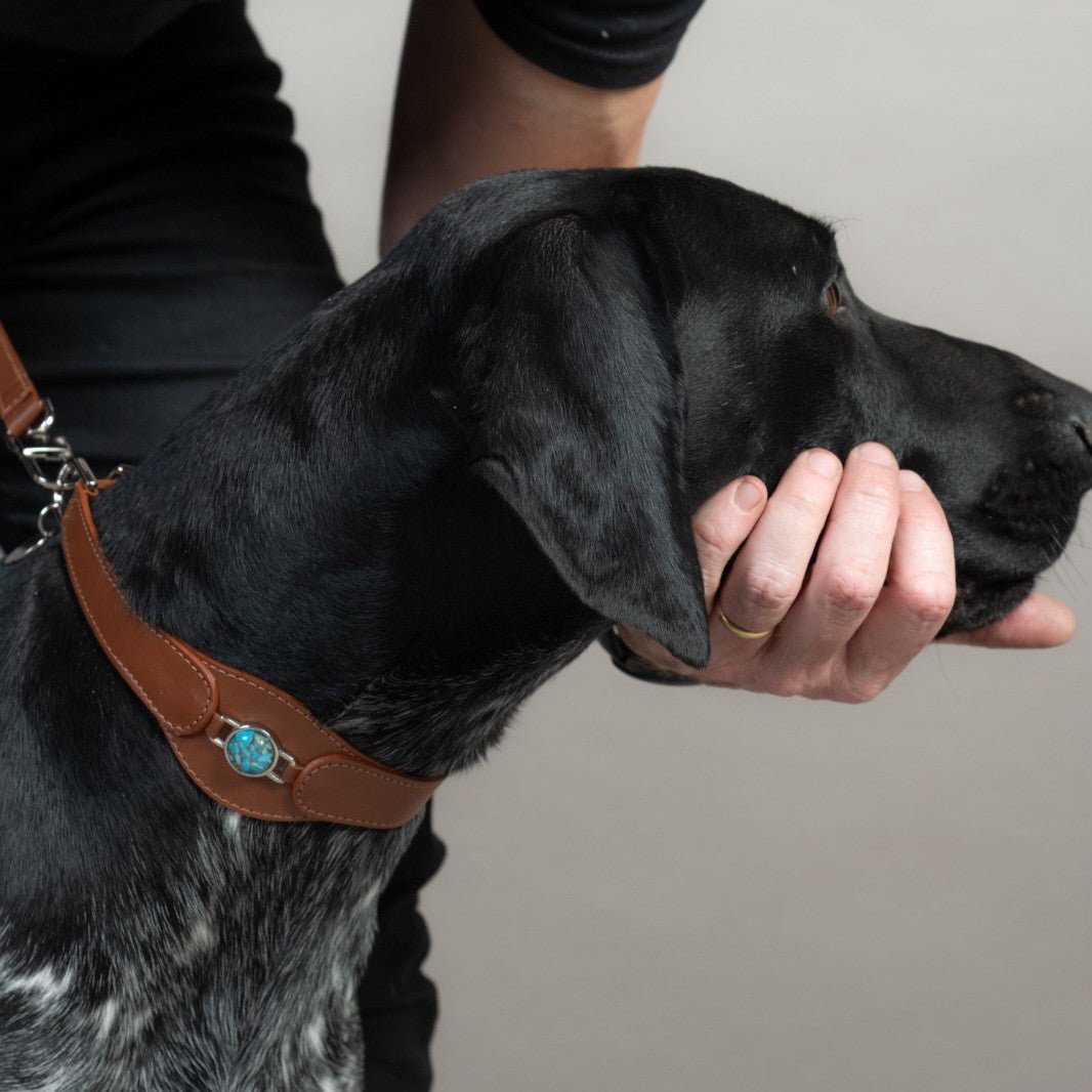 COLLAR CON TURQUESA PARA MASCOTAS - MEDIDA L - Accesorios para mascotas
