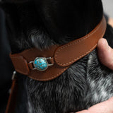 COLLAR CON TURQUESA PARA MASCOTAS - MEDIDA L - Accesorios para mascotas