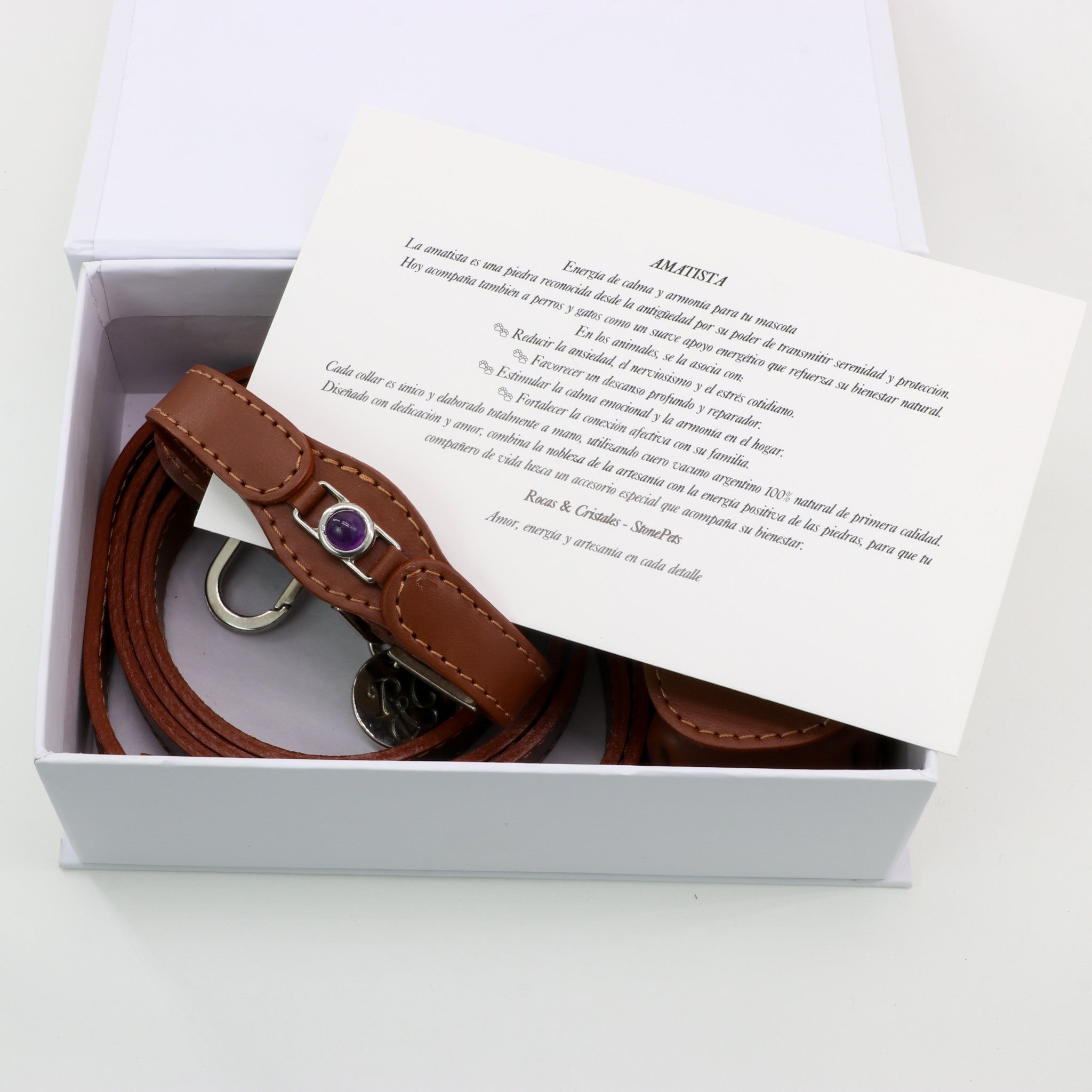 CONJUNTO PARA MASCOTAS DE COLLAR AMATISTA, CORREA Y ESTUCHE PORTA BOLSAS – MEDIDA S - Accesorios para mascotas