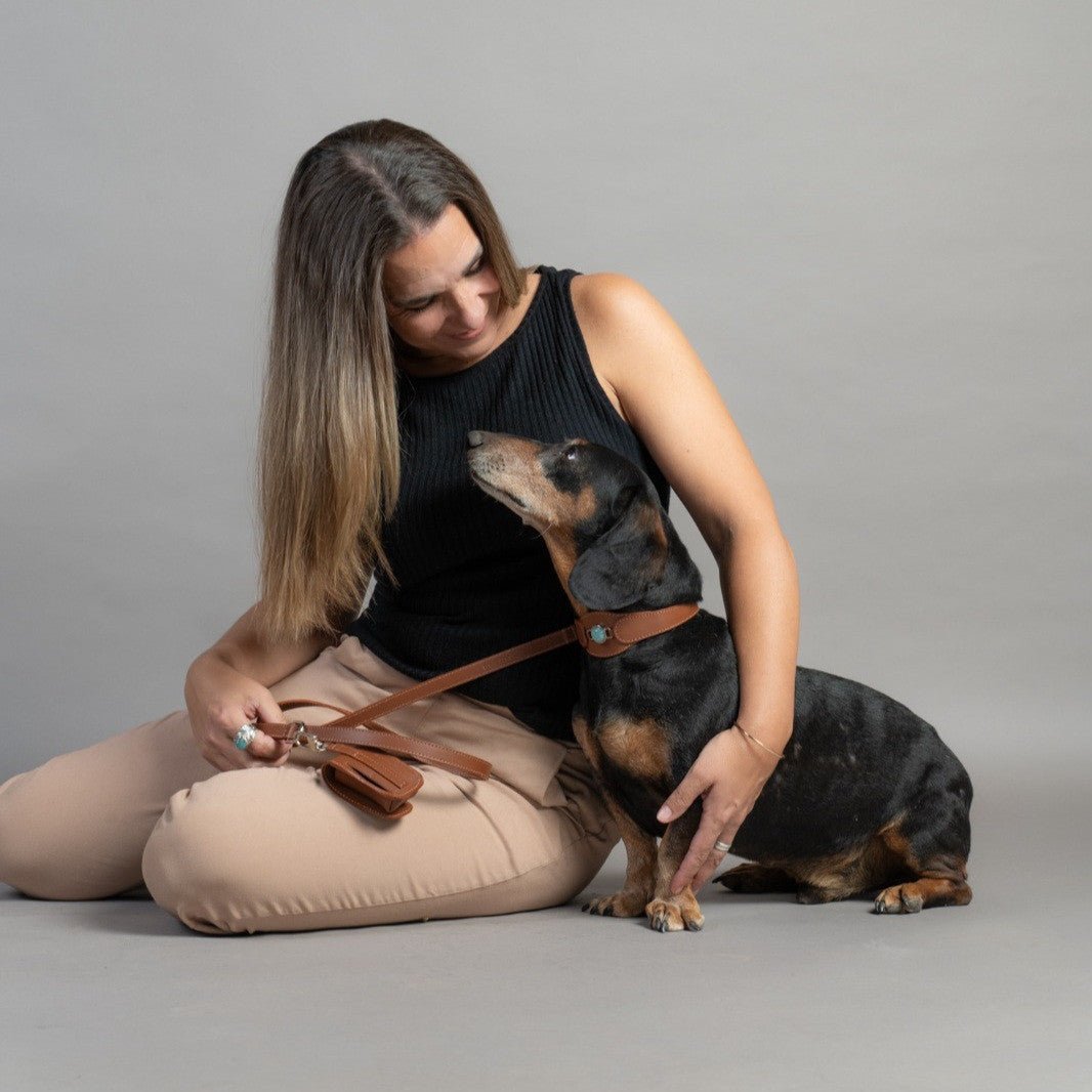 CONJUNTO PARA MASCOTAS DE COLLAR AMAZONITA, CORREA Y ESTUCHE PORTA BOLSAS – MEDIDA M - Accesorios para mascotas