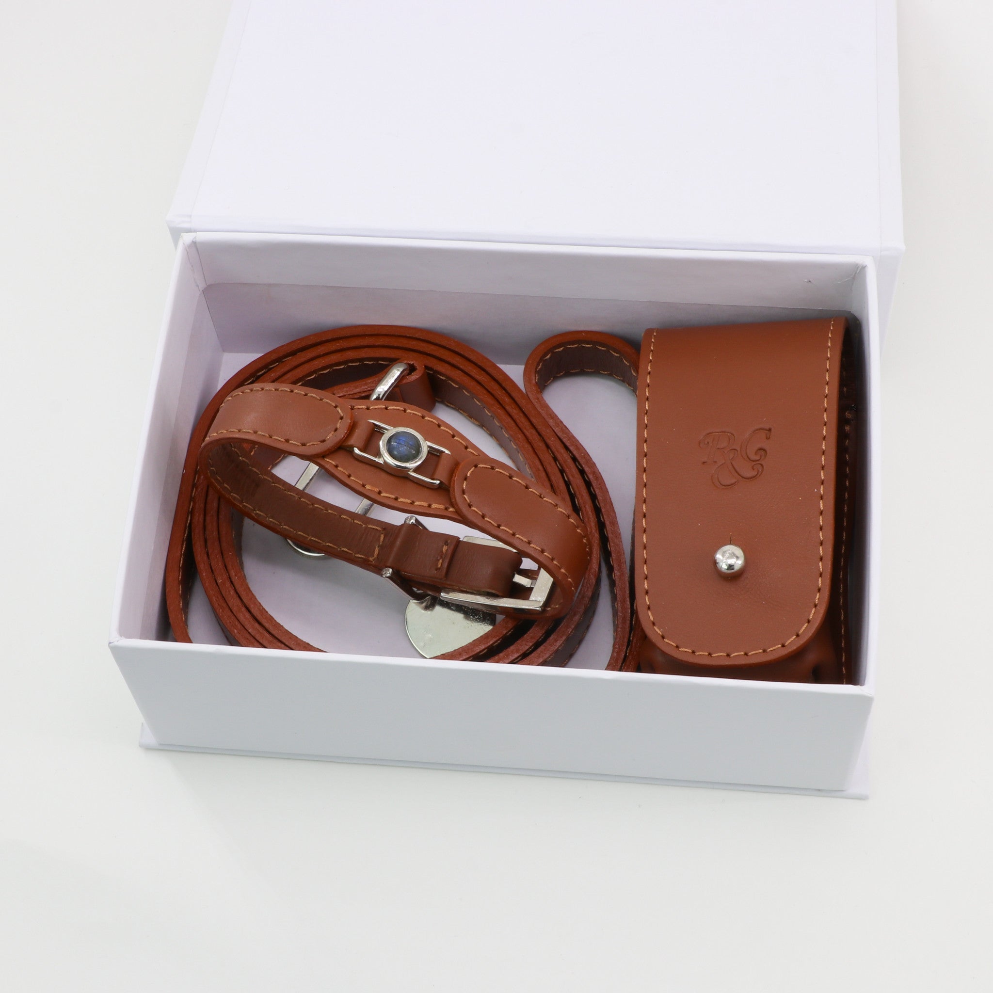CONJUNTO PARA MASCOTAS DE COLLAR LABRADORITA, CORREA Y ESTUCHE PORTA BOLSAS – MEDIDA S - Accesorios para mascotas
