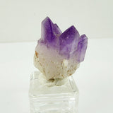 Drusa de Amatista - Minerales de colección