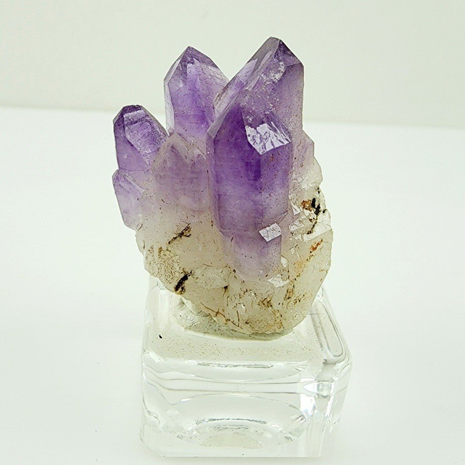 Drusa de Amatista - Minerales de colección