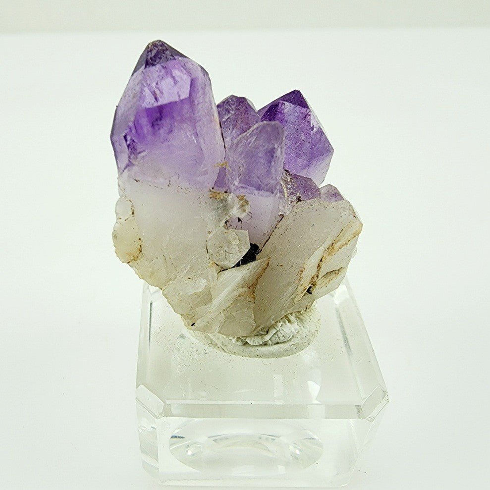 Drusa de Amatista - Minerales de colección