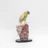 Guardian Verde - Talla en piedra