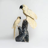 Loros Alegres - Talla en piedra