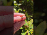 Diamond ring in 18k gold