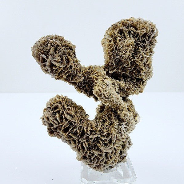 Rosa del Desierto - Minerales de colección