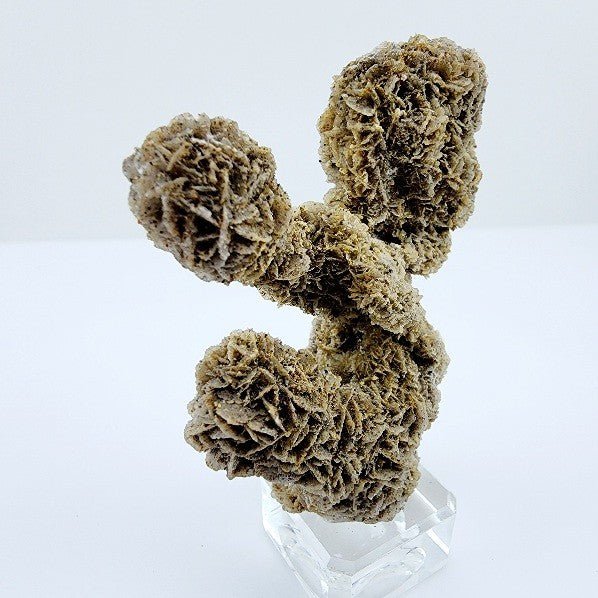 Rosa del Desierto - Minerales de colección